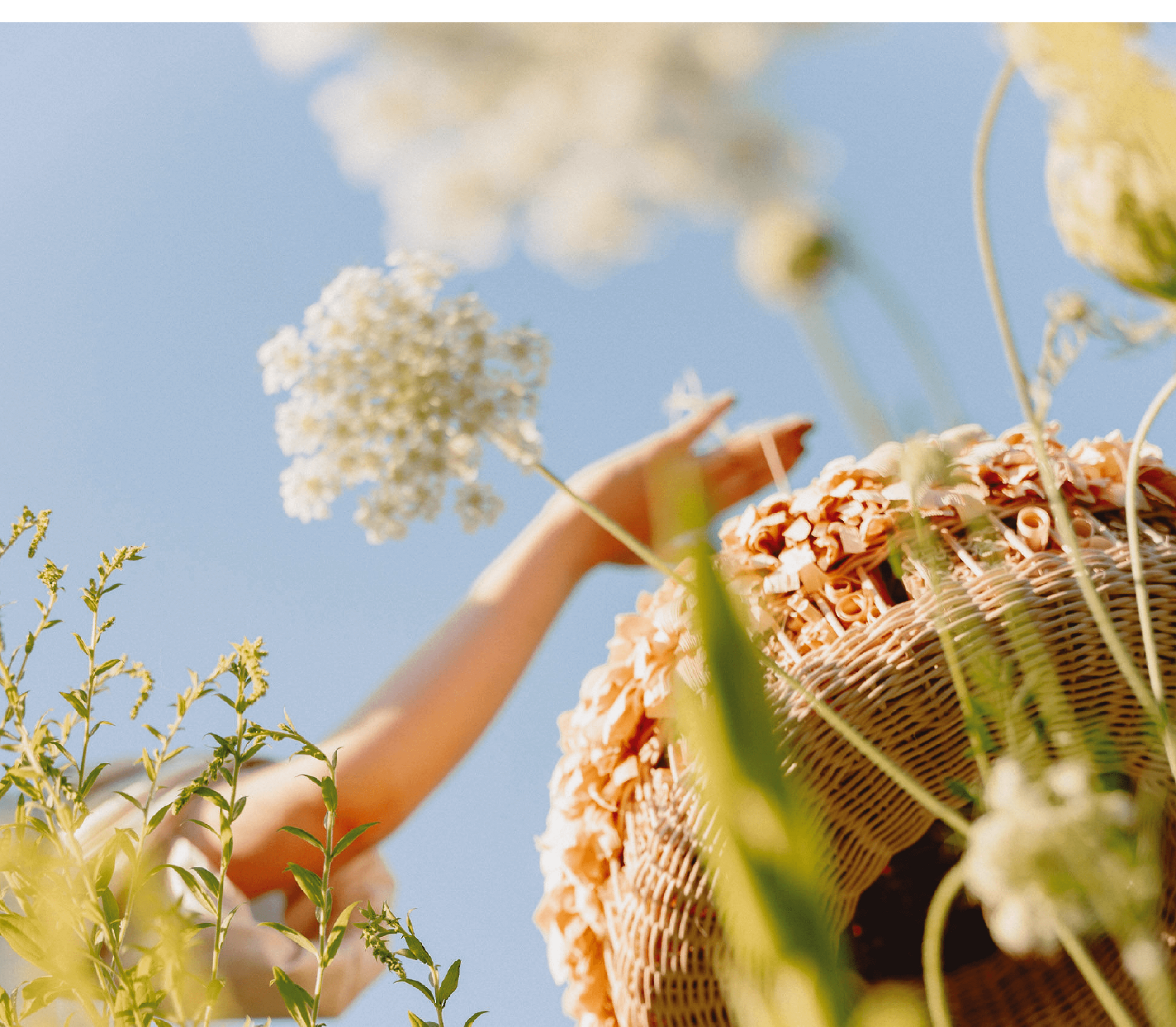 Tvoříme budoucnost tradice